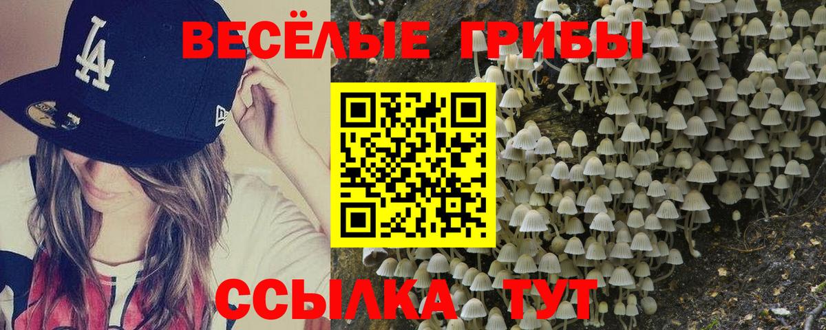 Галлюциногенные грибы Cubensis  Вход с VPN  Псилоцибиновые грибы GOLDEN TEACHER  Усинск 